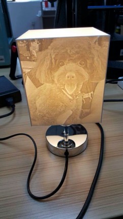 動物枱燈